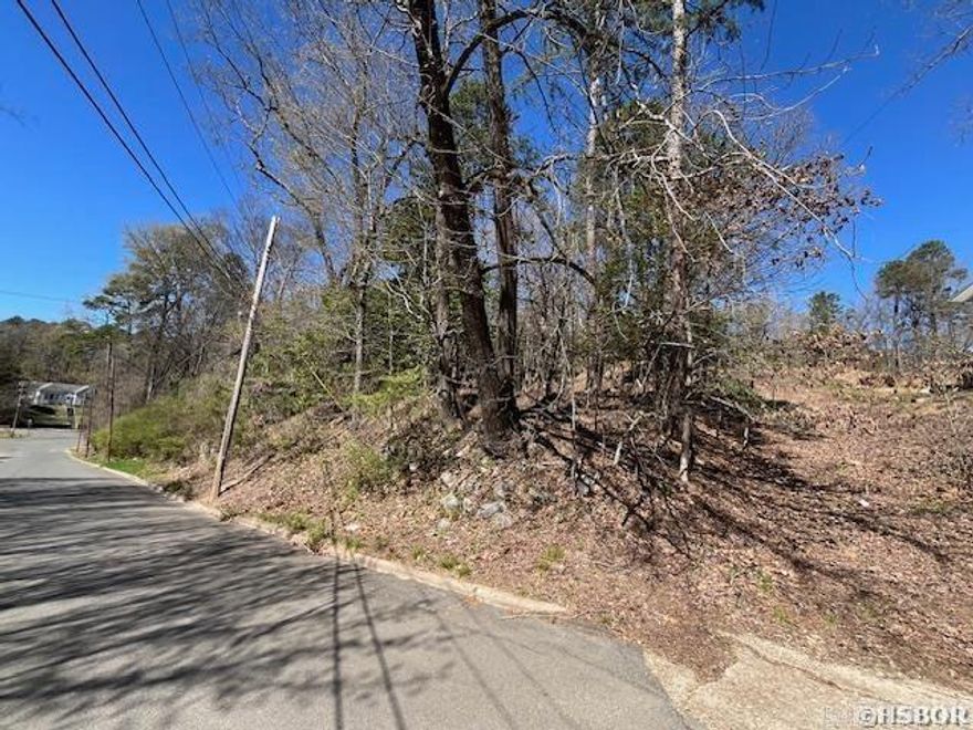 Wonderful 1.16 Acre lot on Amber St. Build your dream home in the center of Hot Springs with a short walking distance to the heart of downtown in Hot Springs. This sloped lot is only minutes away from beautiful hiking/biking trails in and around Northwoods.