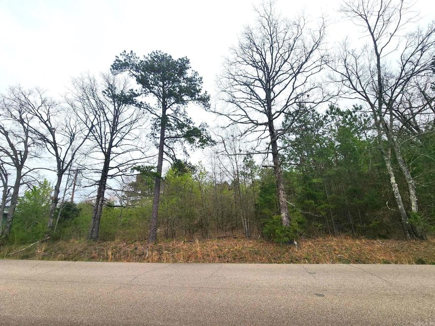 Wooded residential lot inside city limits, located just off of Highway 71. Lot is 90'x140' with 90' of road frontage.