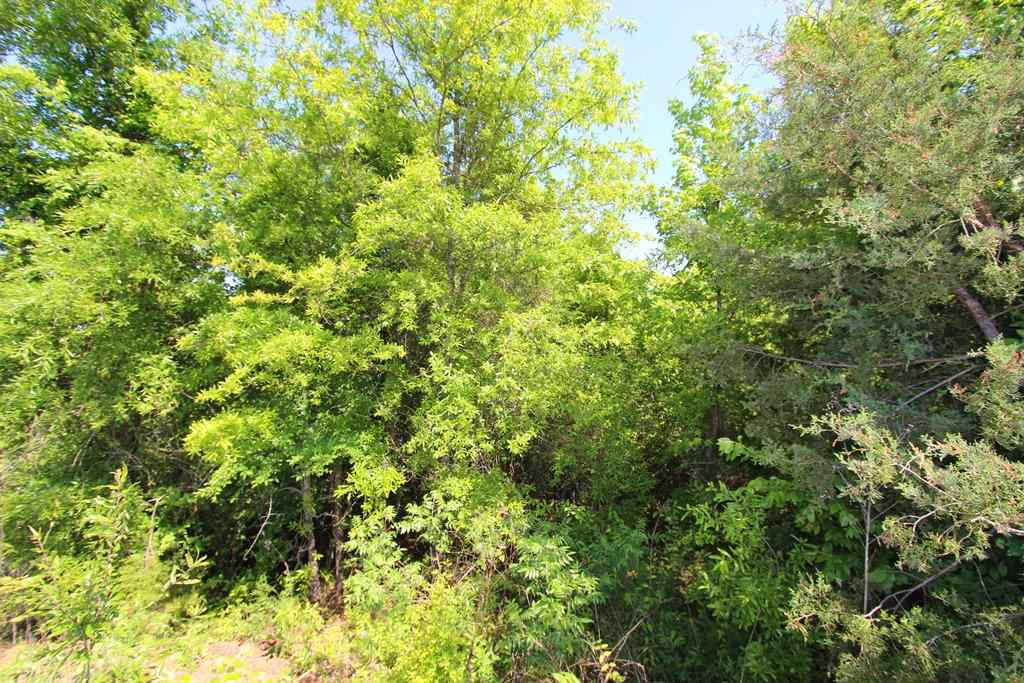 Sherwood Estates - Land