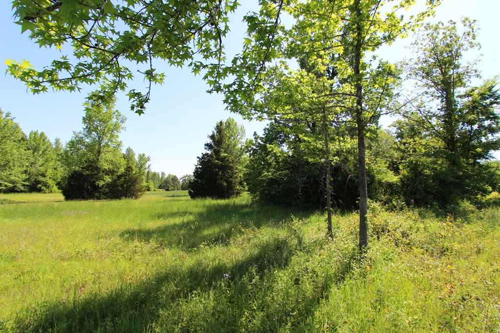 Sherwood Estates - Land