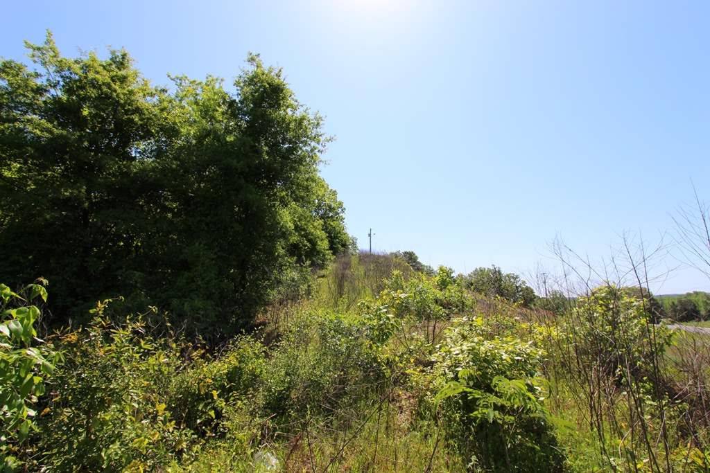 Sherwood Estates - Land