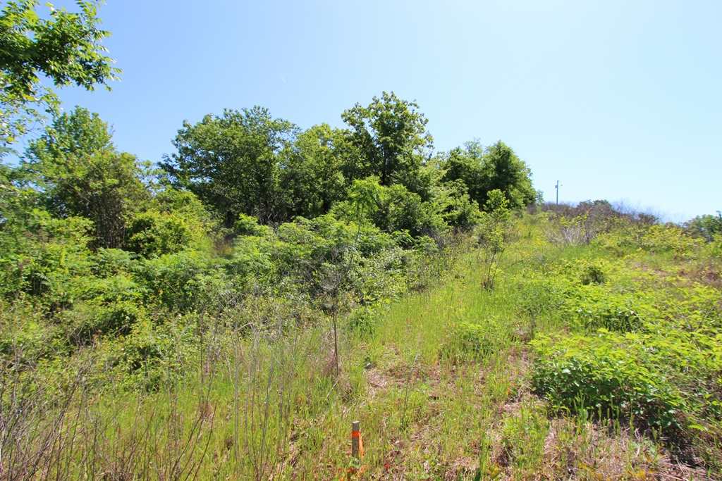 Sherwood Estates - Land