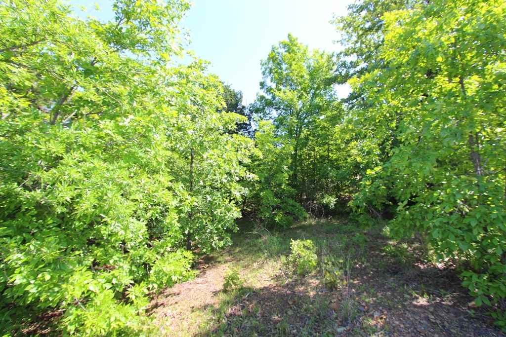 Sherwood Estates - Land