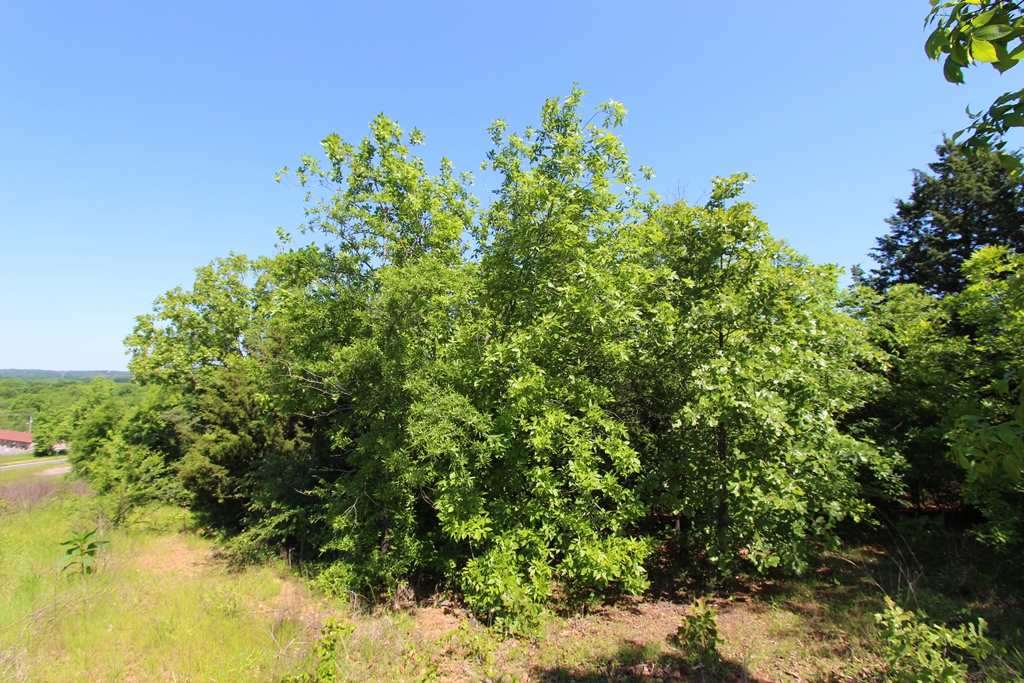 Sherwood Estates - Land