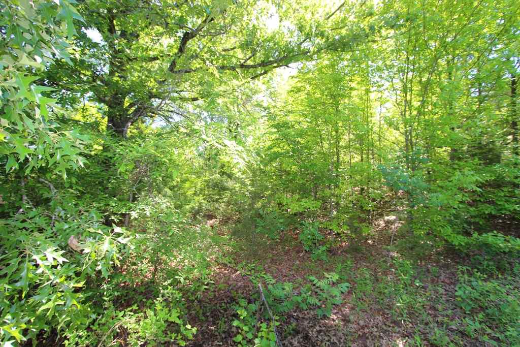 Sherwood Estates - Land