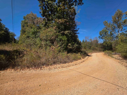TRAVIS DR, HARDY, AR 72542 - Image d7f54a56f28611dcea390e1de95d7c4c/1201089367