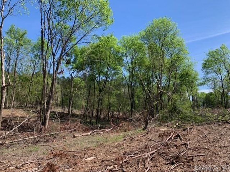 Over 20 acres directly across from Bismarck Schools and only a half mile to Lake DeGray. Minutes to Hot Springs. Kimzey water and fiber already at edge of the property. Beautiful hardwoods and rolling hills make it the perfect place to build your dream home or project. Outside city limits, no restrictions. So much TLC has been given to this land! Price reflects some logging cleanup is needed