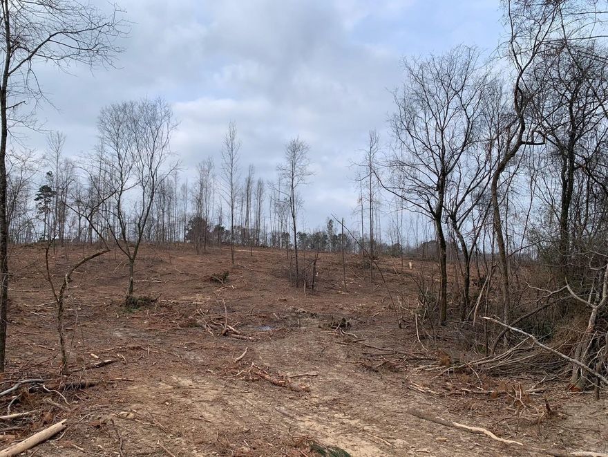 Over 20 acres directly across from Bismarck Schools and only a half mile to Lake DeGray. Minutes to Hot Springs. Kimzey water and fiber already at edge of the property. Beautiful hardwoods and rolling hills make it the perfect place to build your dream home or project. Outside city limits, no restrictions. So much TLC has been given to this land!