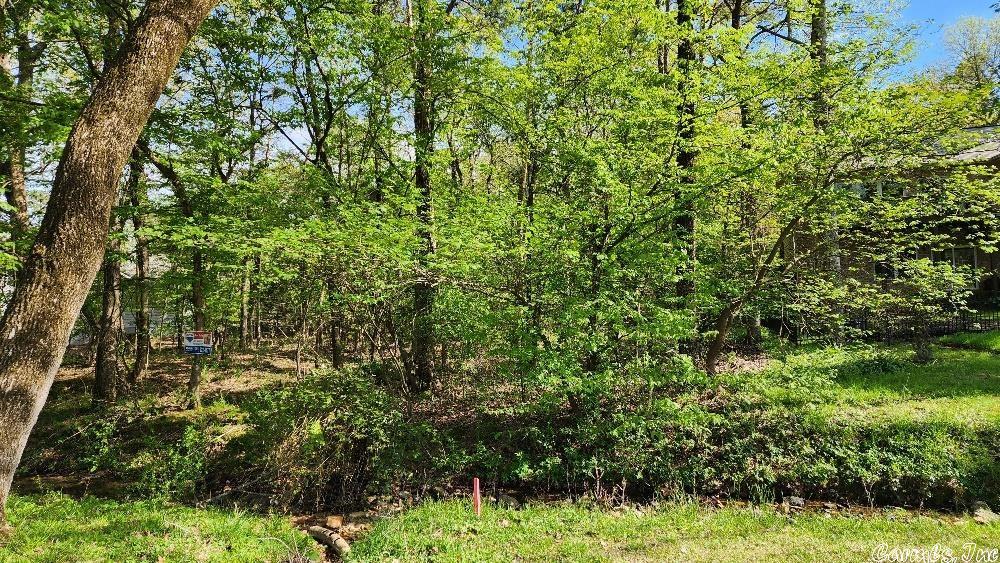 Photo 3 of 28 of 9 Lindura Lane land