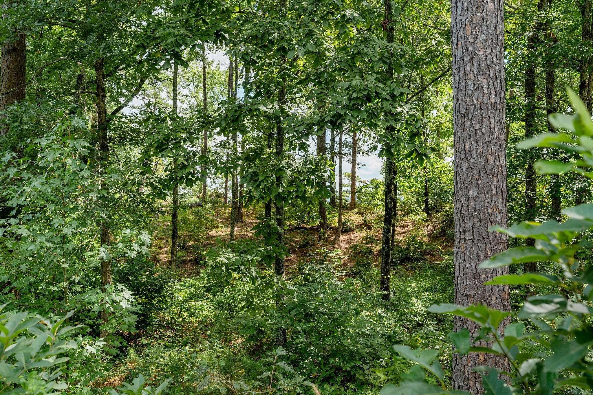 Little Red River Estates - Land