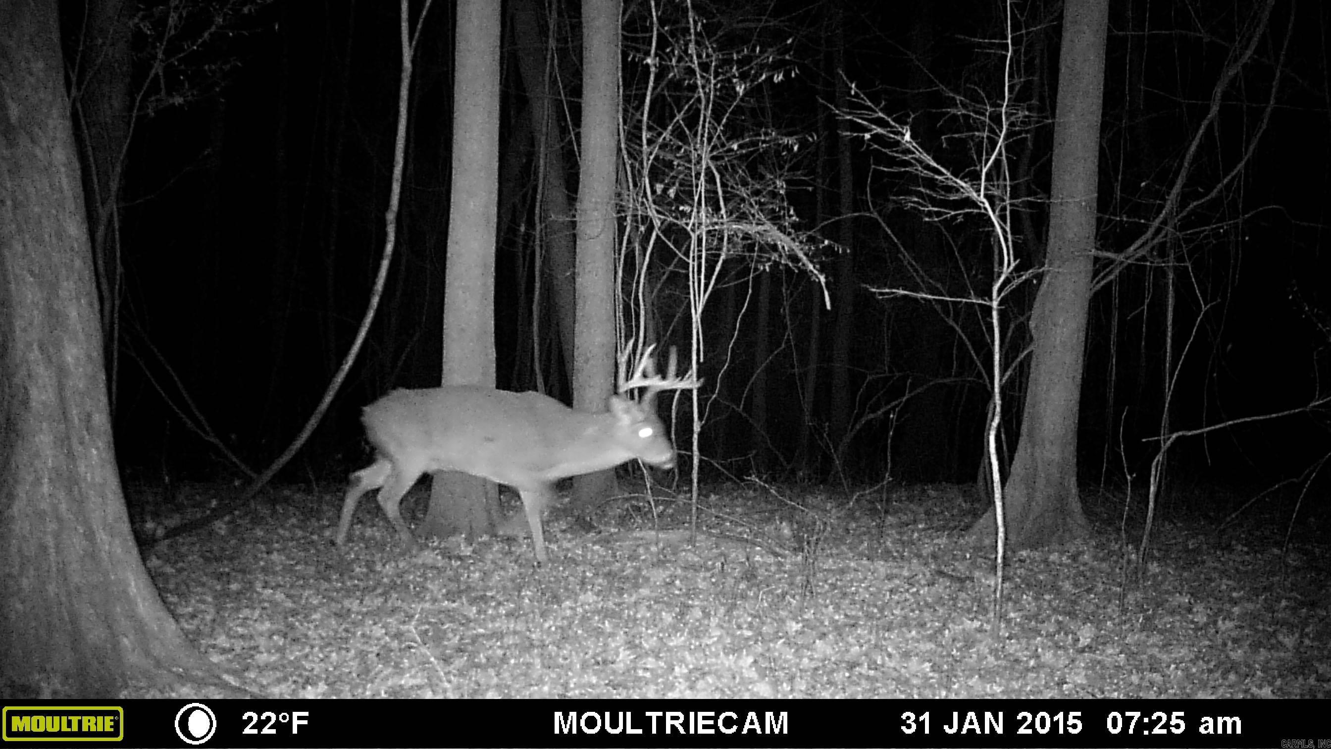 35 Acres. Field and Timber on Crowley's Ridge.