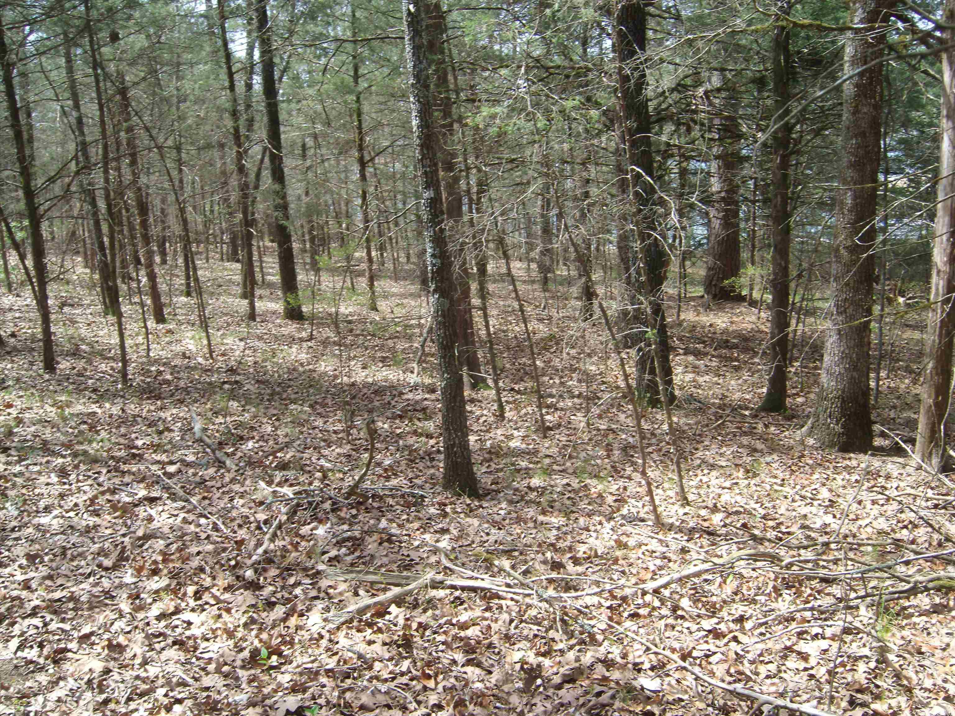 Not in Subdivision - Land