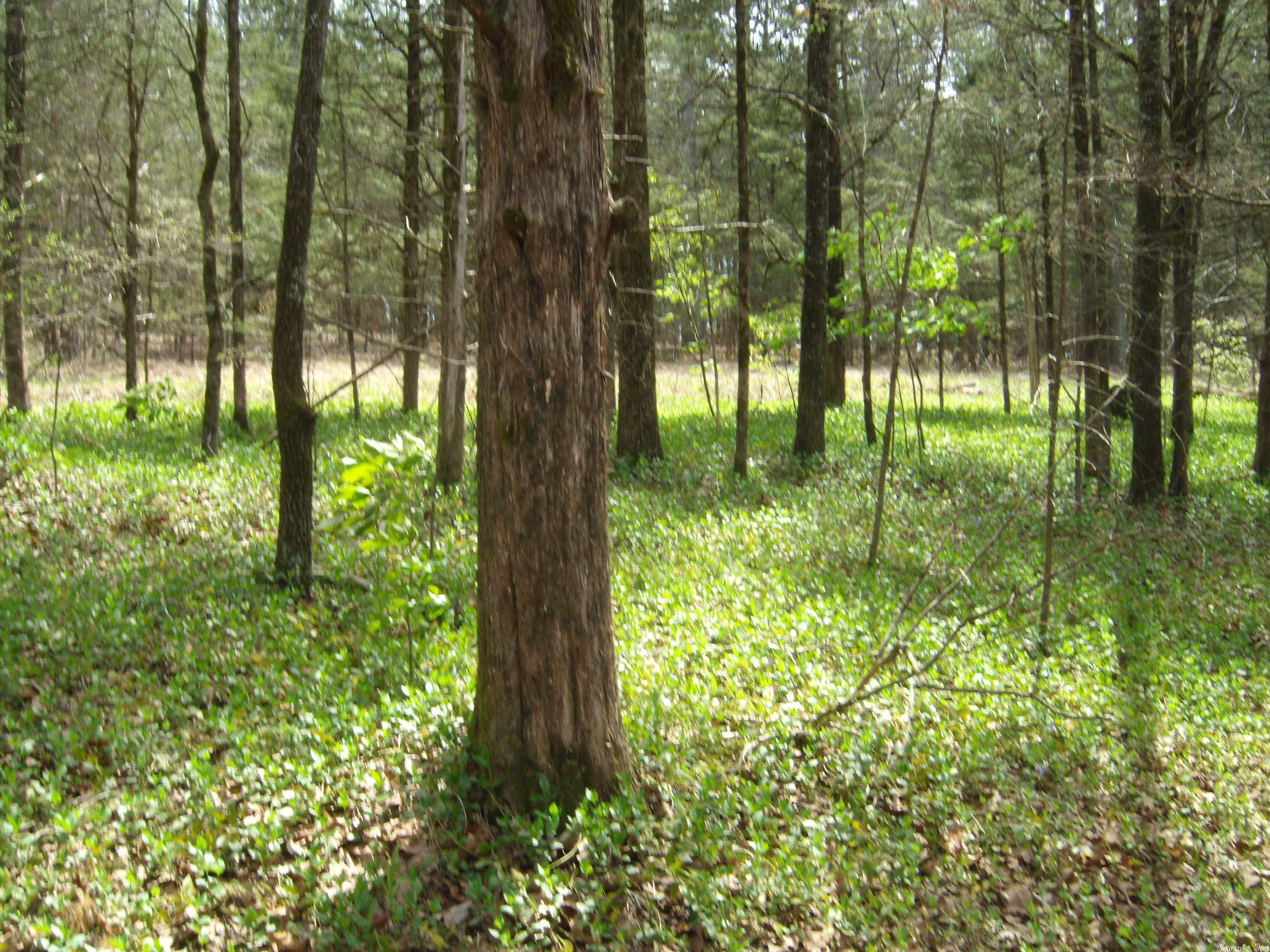 Not in Subdivision - Land