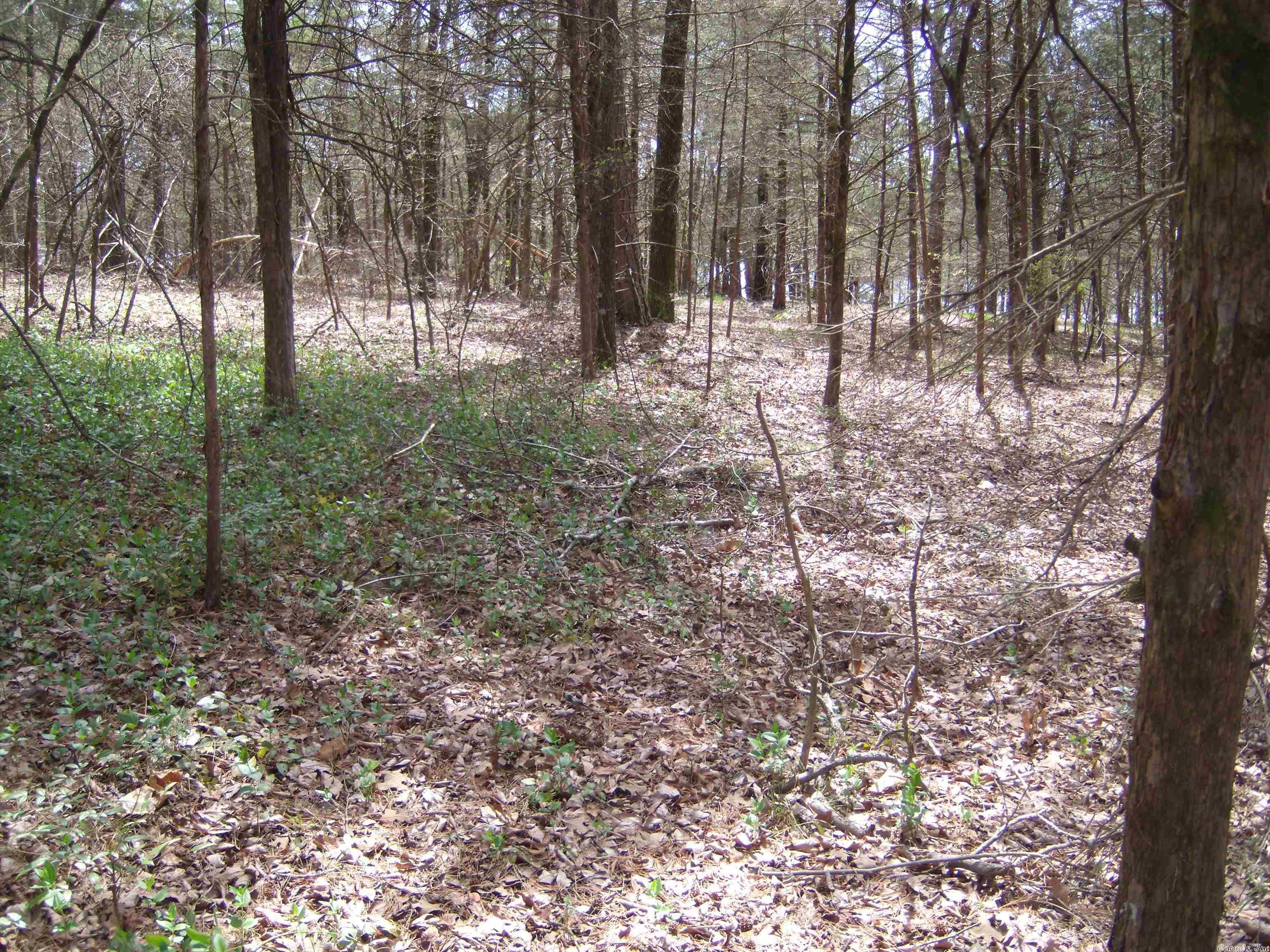 Not in Subdivision - Land