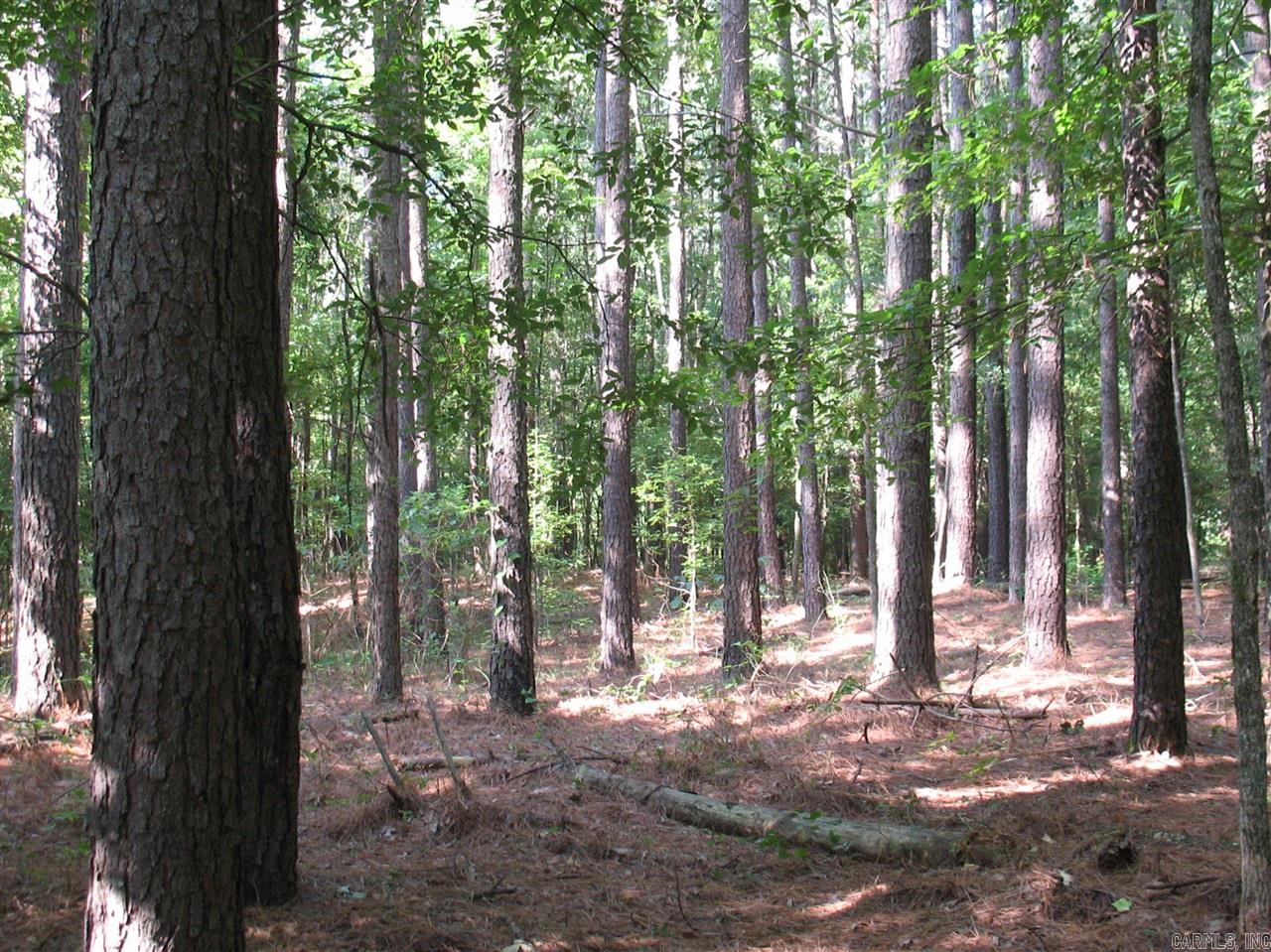 Southern Oaks Realty,LLC and Investment Realty Inc. are offering the Hardin Farm Tract in Clark County, Ark. This 1321.945 acre property is supporting an excellent stocking of pine and hardwood timber in conjunction with excellent pastureland and bottomland fronting the Antoine River. The property has produced trophy quality white tailed deer and is also supporting wild turkey, ferrel hogs, and numerous other wildlife species. Access to the property is via a gated gravel road and numerous internal roads would provide miles of improved access for motorized vehicles or for recreational hiking or horseback riding. Utilities are available for establishment of a permanent residence or hunting cabin. The possibilities are unlimited. Call Jeff Neill 870-904-0103, Matt Stone 870-818-0750, or David Stone 870-818-0751 for an appointment.