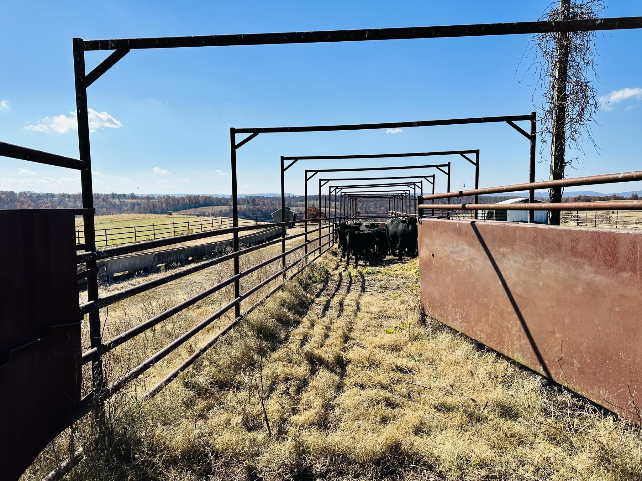 Metes & Bounds - Farm