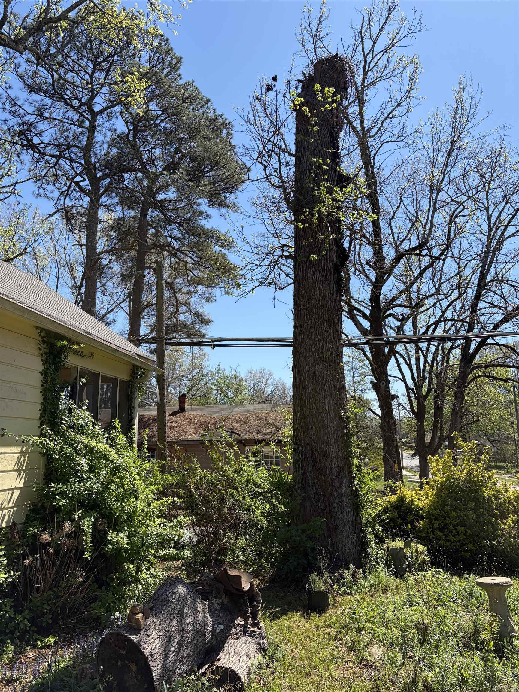 CHESTERFIELD SQUARE - Residential