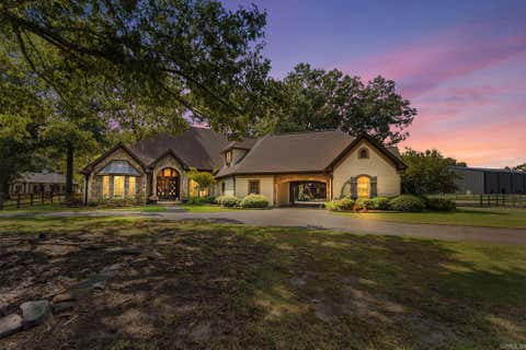 Photo of 251 Bartell Road, Judsonia, AR 72081 (MLS # 26033972)