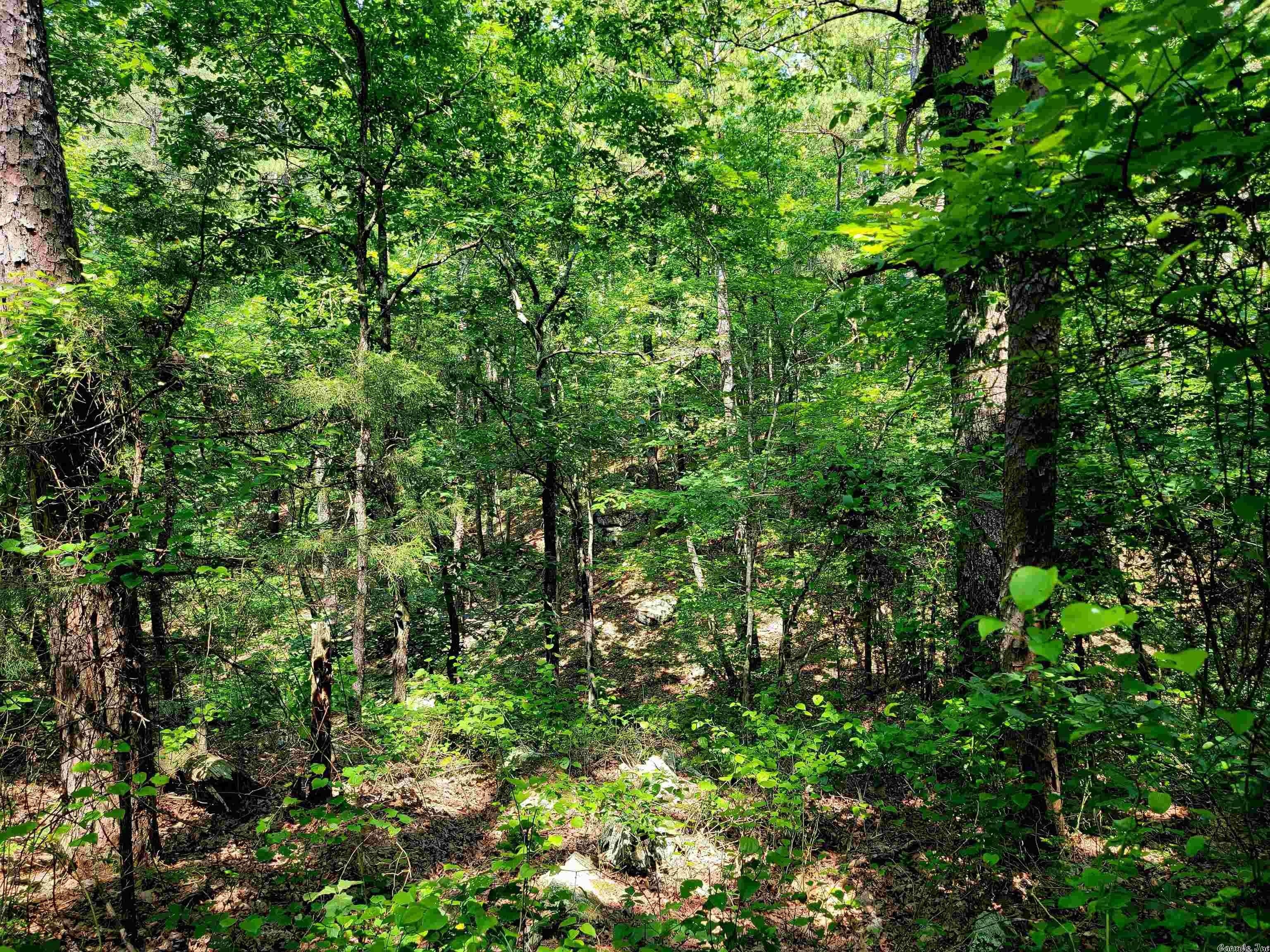 A beautiful lot with a wet weather creek running thru the backside. Gently sloping with beautiful pines and hardwood trees. Fairfield Bay Utilities available up the road, come build your new Greers Ferry lake house in the Indian Hills Subdivision of Fairfield Bay Arkansas.