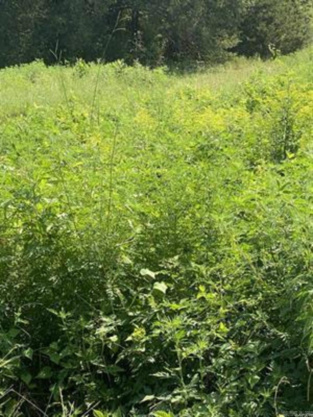 Hard to find land close to city convenience and to have a country feel. Wow over two acres of land in a very area. This lot has both road frontages of noble and Small Wood.
