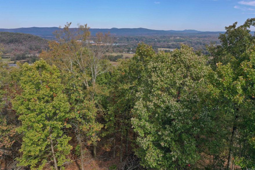 Great, wooded acreage for sale at a great price!! Some utilities are available but not on the property. Perfect place to build your dream home!!