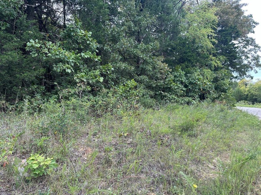 This beautiful .67 acre m/l lot in Henderson offers the perfect blend of tranquility and convenience. Located on County Road 137, just minutes from the scenic Norfork Lake and Wilderness Point, this level lot is ideal for building your dream home or vacation retreat. The property comes with electric access, making it easy to start your project. Whether you're looking for a peaceful getaway or a place to settle, this lot provides the opportunity to enjoy the best of lake life and the beauty of the surrounding area.