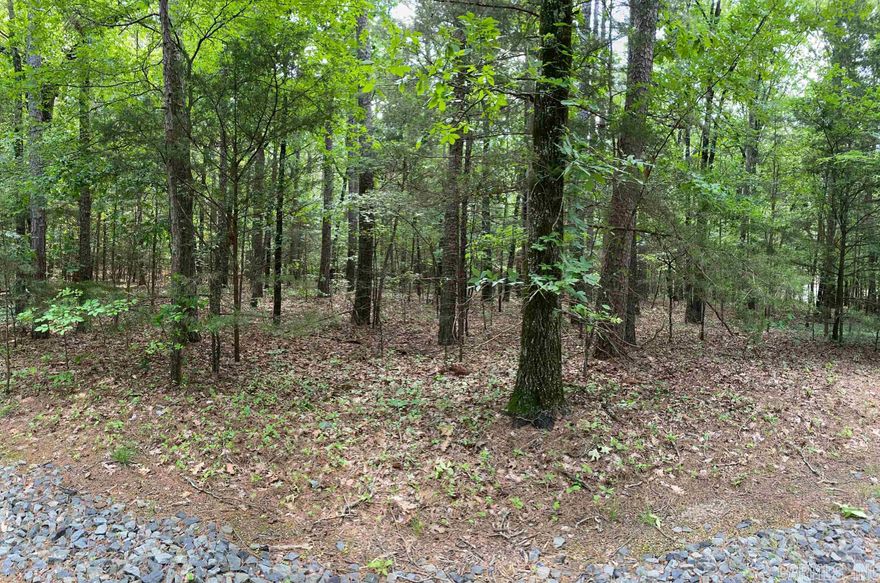 Down the winding, shady streets of Tannebaum you'll find this beautiful residential lot. Perfect to build your forever home or your stay & play. Prestigious community, friendly neighbors & beauty everywhere you look. Drive by & view this special property. You'll never want to leave!