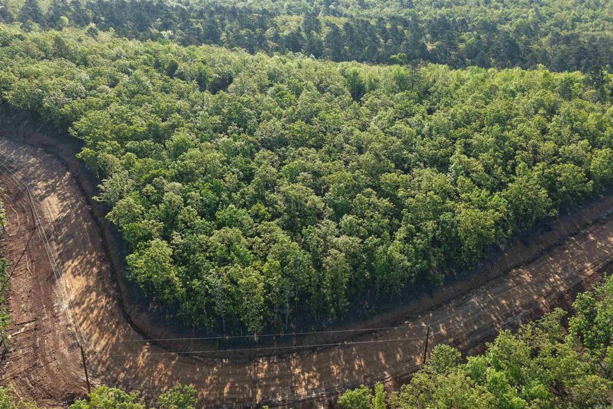 Introducing Seven Lakes Ranch Estates ~ a premier gated acreage community redefining luxury country living in the Conway area. Set against breathtaking views of Lake Conway and Pinnacle Mountain, this exclusive development features seven stocked lakes, scenic nature trails, rolling topography, and abundant wildlife. Each 3–5 acre homesite offers the privacy and space you’ve been searching for, complete with paved roads, a gated entrance, and available utilities. Perfectly positioned just 10 minutes from I-40 in Mayflower, 15 minutes from downtown Conway, and approximately 25 minutes from West Little Rock and Cabot, Seven Lakes Ranch Estates delivers both tranquility and convenience. With community-wide road paving planned for summer 2026, and a 2,400 sq. ft. minimum for this lot, you’re invited to bring your builder—or work with one of ours—to craft a custom home that fits your vision.  **Owner financing is available.**