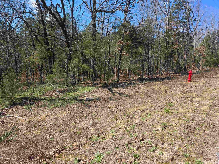 Come see this wonderful wooded lot. You will find it somewhat secluded in the woods on the Northside of the Village. With only a few neighbors in the area. Come pick your building site for your weekend get away cabin, vacation home or your forever home. Ownership of this lot gives you access to all the Cherokee Village aminities, such at the 7 Lakes for fishing, boating and 2 are big enough for skiing, Two 18-Hole golf courses to work on your game, The Thunderbird Center, swimming pool and mini golf. And dont forget that the beautiful Southfork river runs right through Cherokee Village before merging into the Spring River. So you can take a lazy float down the river. This lot can be purchased as part of a 4-Lot package deal with all 4 lots being side by side. that way you will have a neighbor build right next to you.