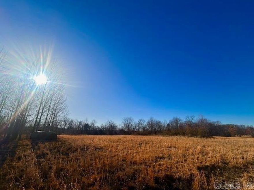 200 acres m/l of prime recreational land featuring hay fields, a pond, mature hardwood trees, and beautiful mountain views. Excellent hunting and outdoor recreation with abundant wildlife. Located near the White River and Mountain View, AR ( The Folk Music Capital of the World). No utilities currently on site; well needed and power is possible. Ideal for a hunting cabin, weekend retreat, or off-grid homestead with room for gardens and farming. Property already has ATV trails. Showing by appointment only. Get your appointment scheduled today!