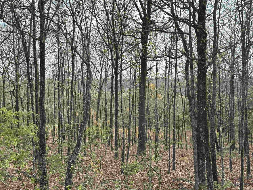 Beautiful 1.64 Acre Lot located in Beebe/Antioch Area. Beautiful view of Beebe from the back. Lot does have restrictions. No Mobile Homes Allowed.