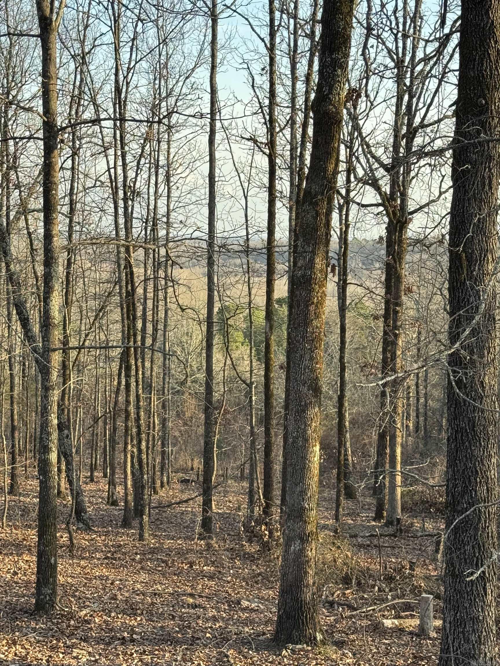 Rocky Branch Estates - Land