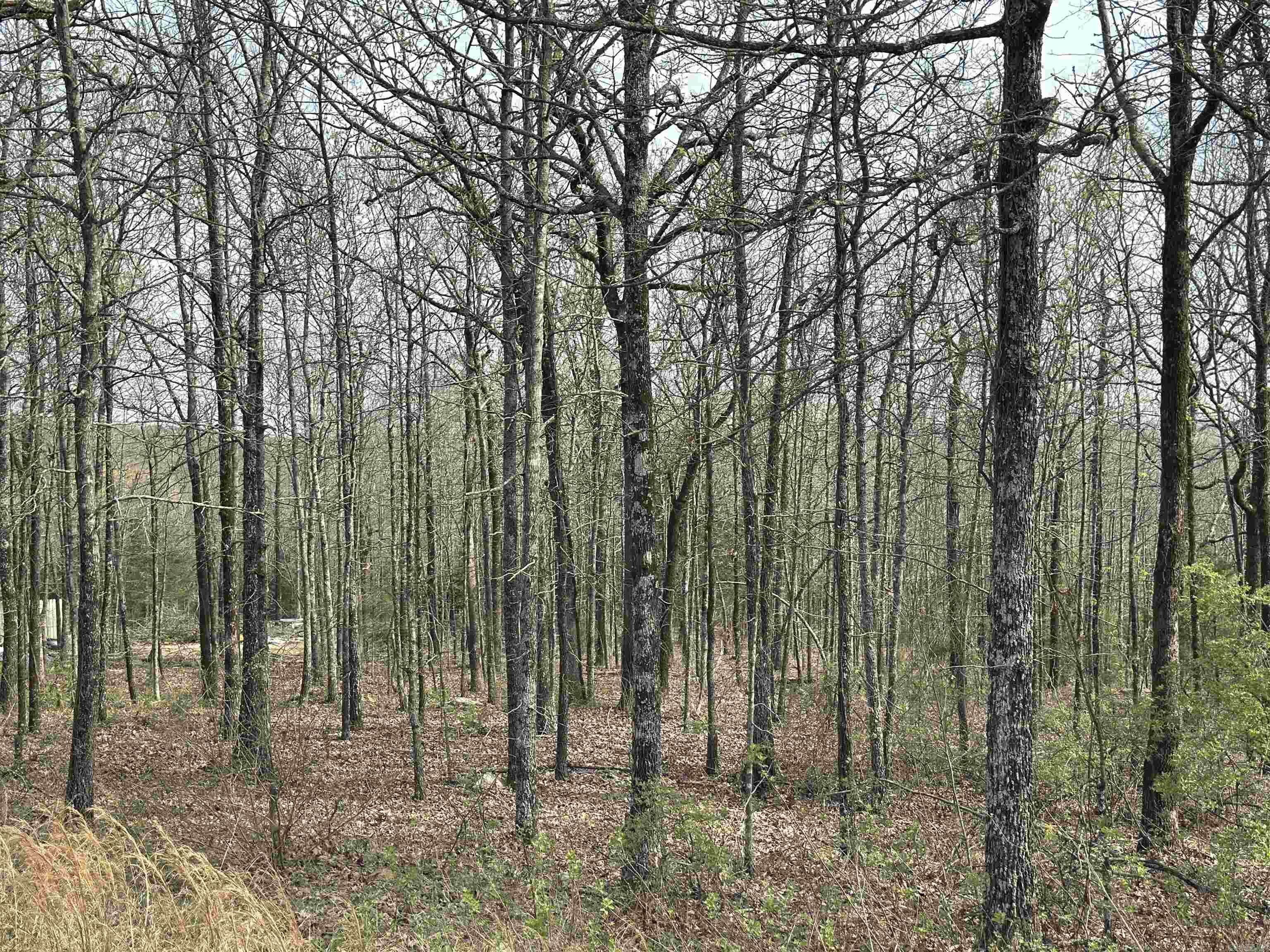 Rocky Branch Estates - Land