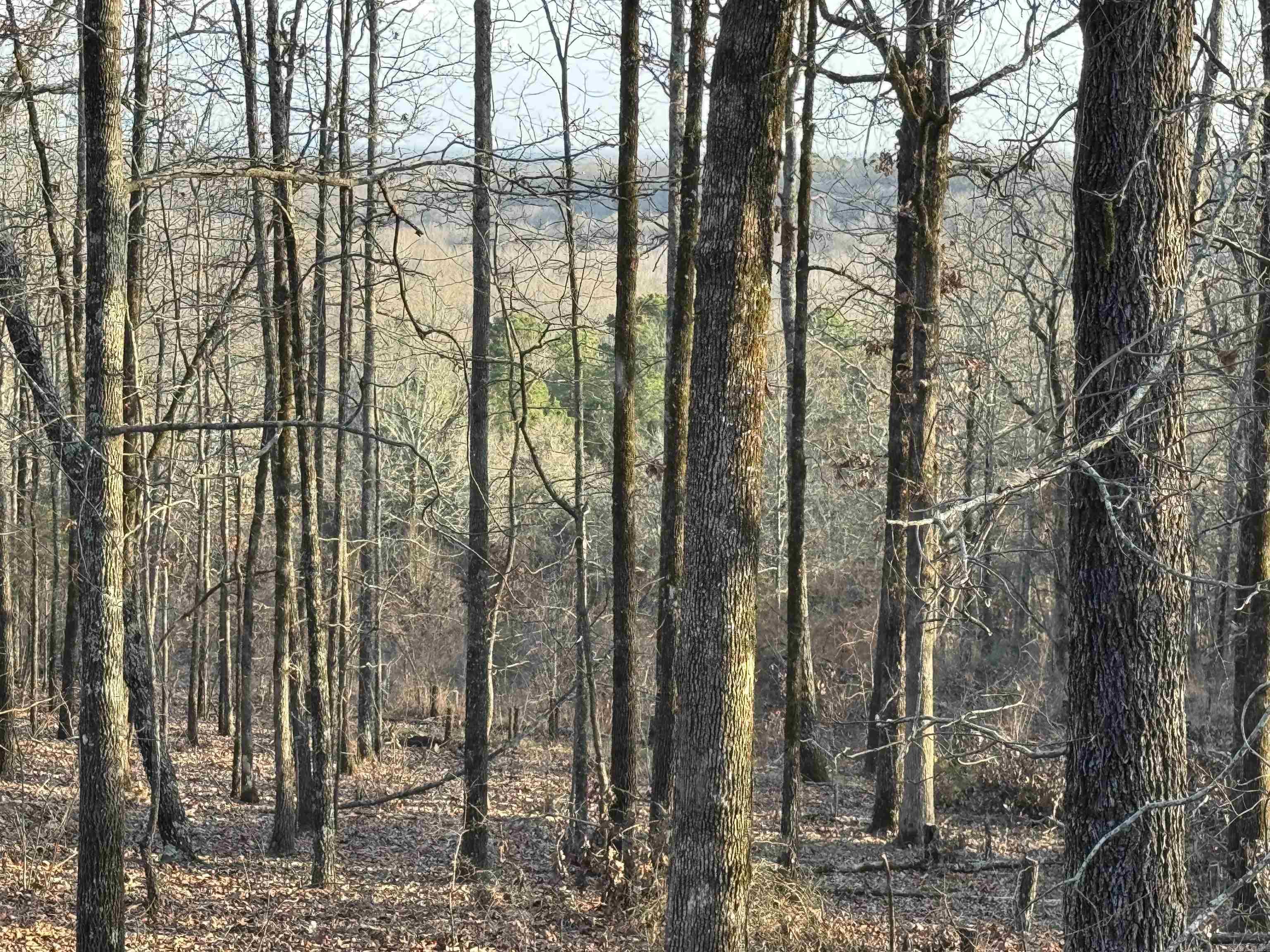 Rocky Branch Estates - Land