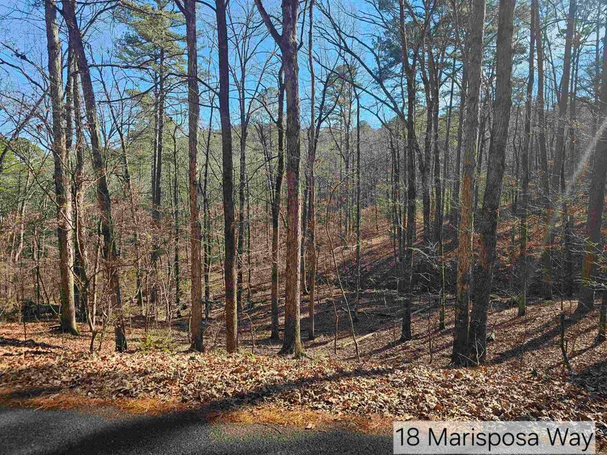 Nice, 1.3 acres wooded lot on the west side of Hot Springs Village. Close to shopping, restaurants, and medical facilities. Bring your house plans & builder, and build your dream home in the gated, golf community of Hot Springs Village. There is a one-time buy-in fee of $300.00 for an unimproved lot for new members, which is collected at closing.