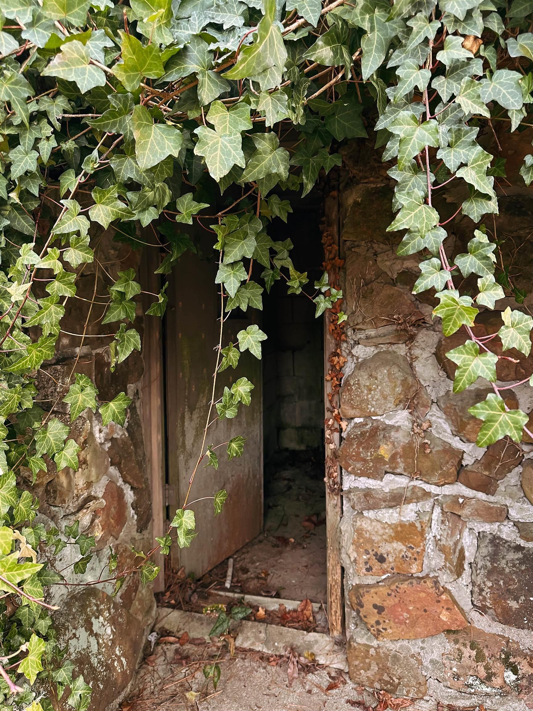 THARPS WHISPERING PINES - Residential