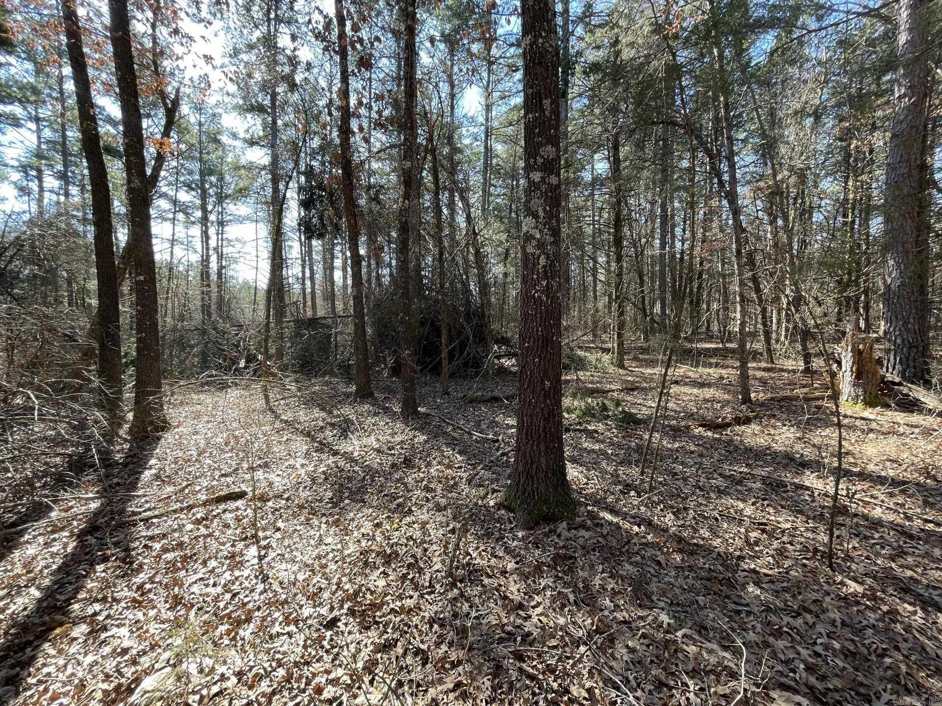 BONE ISLAND ESTATES 3 - Land