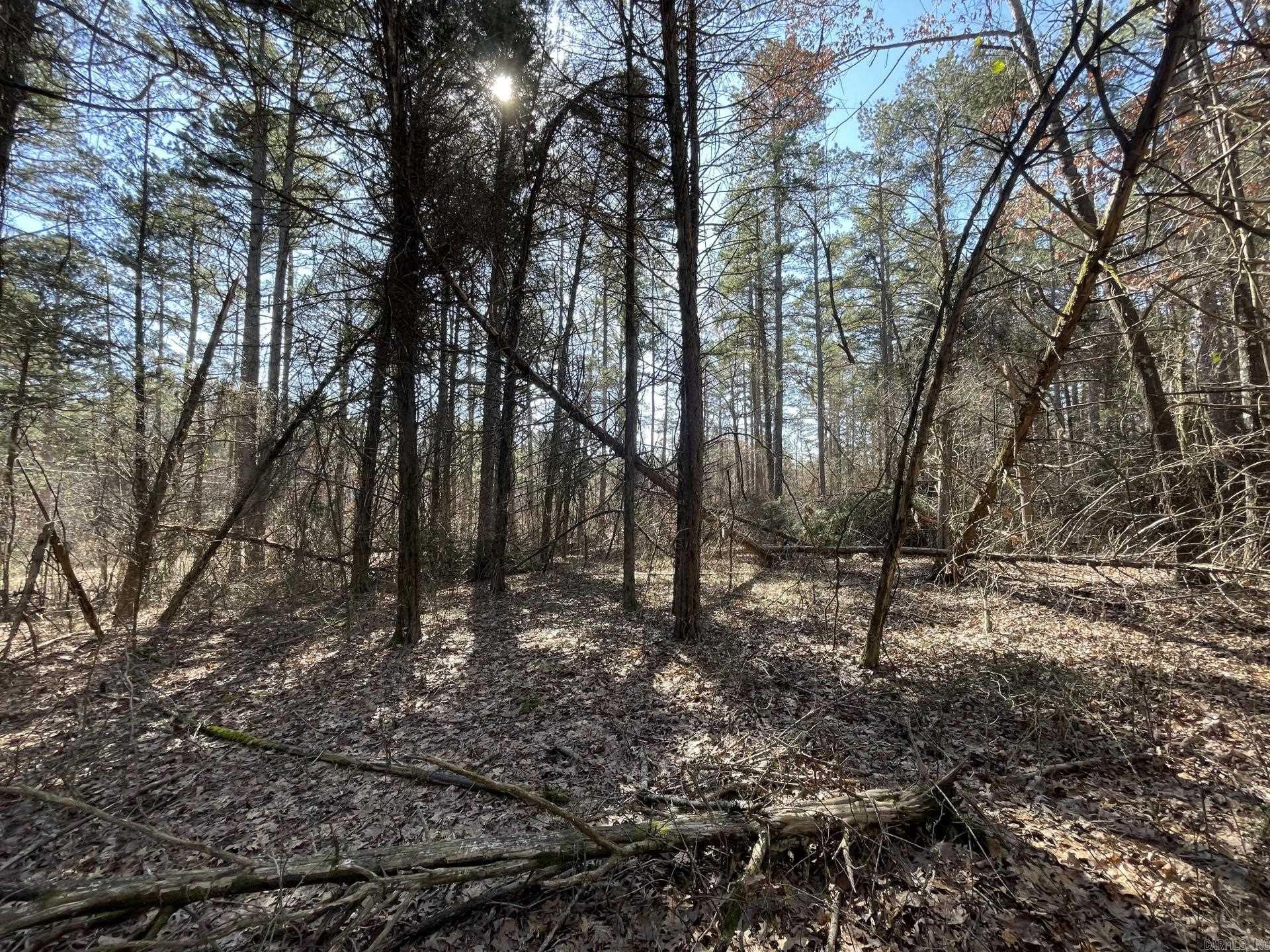 BONE ISLAND ESTATES 3 - Land