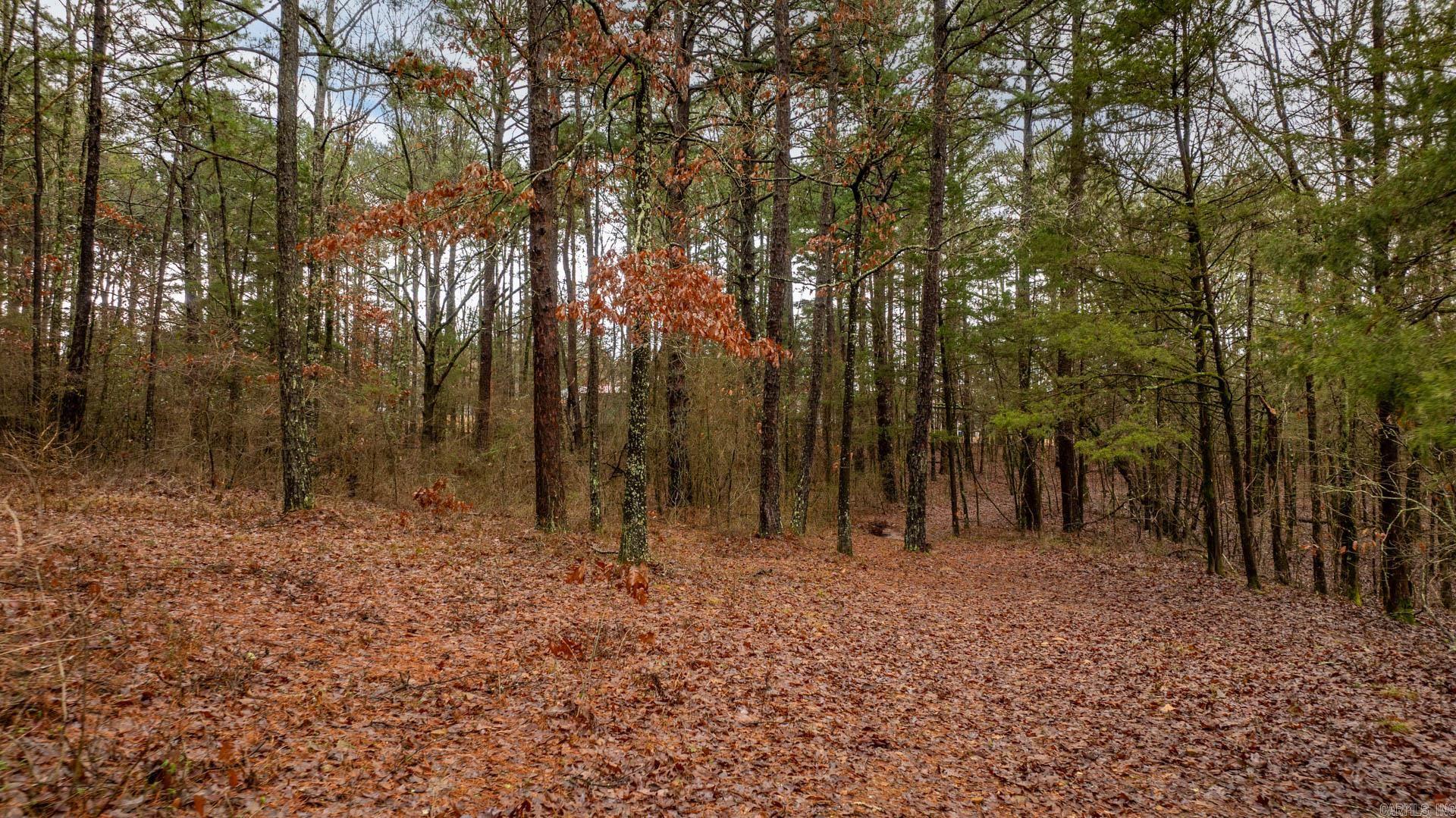 Shiloh Creek Acres - Land