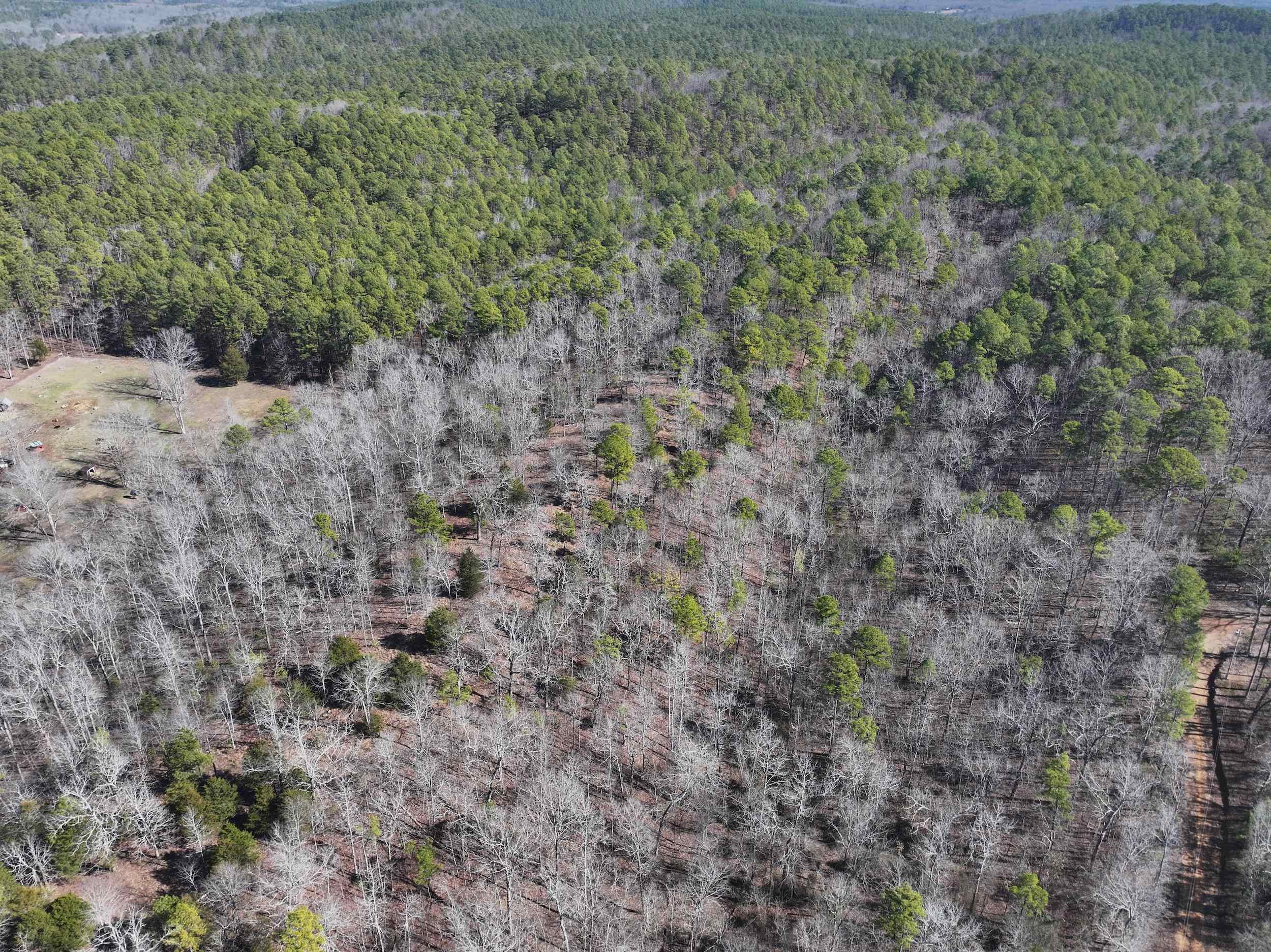 Finding almost 8 acres sharing a boundary with National Forest it not easy! Just down the road from Lake Ouachita and close to downtown Hot Springs. Land has high ridge with level building spots that has mountain views all directions. Paved road along property as well as municipal water and electric. Build your own home or would be a great investment opportunity for rental cabins or campers or start your own "glamorous camping" business.