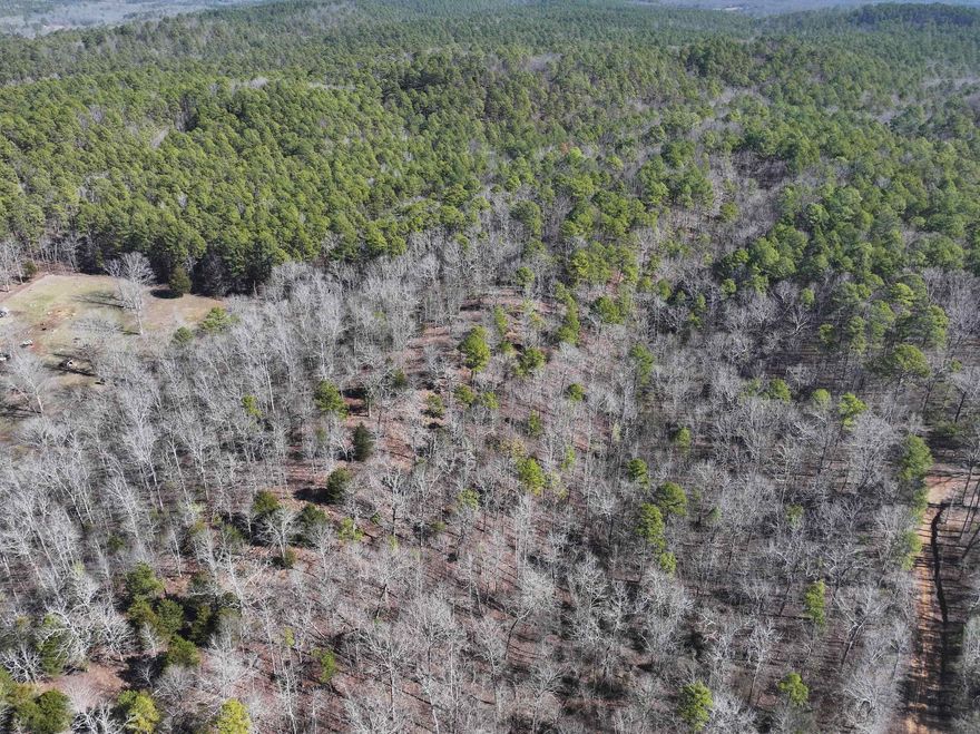 Finding almost 8 acres sharing a boundary with National Forest it not easy!    Just down the road from Lake Ouachita and close to downtown Hot Springs.  Land has high ridge with level building spots that has mountain views all directions.  Paved road along property as well as municipal water and electric.   Build your own home or would be a great investment opportunity  for rental cabins or campers or start your own "glamorous camping" business.