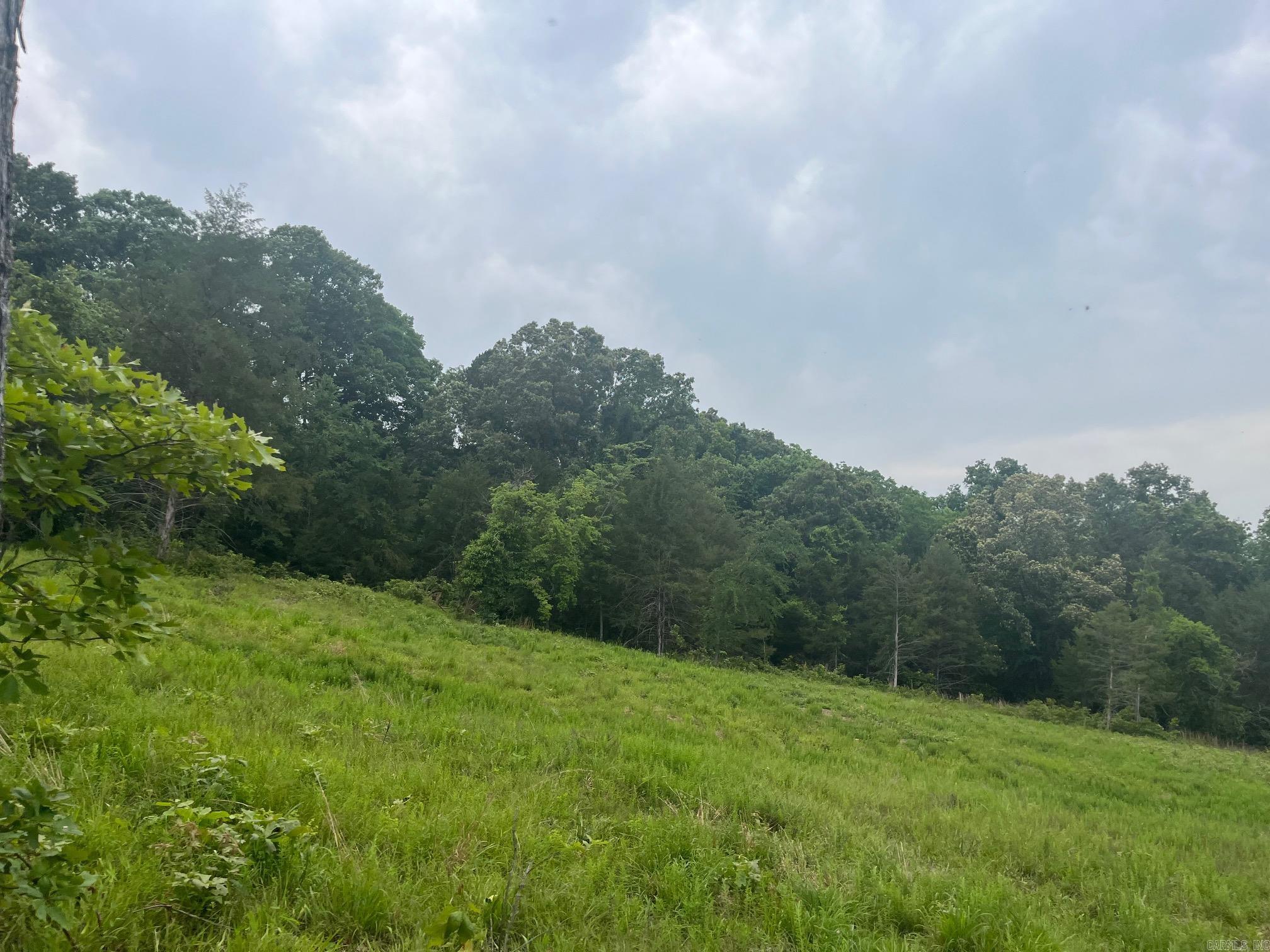 10 acres just off state highway 56. End of the road with plenty of privacy. has everything you need: city water, Electricity, some wooded land, some pasture, nice creek. 15 minutes drive to White river and Trout fishing, 25 minutes to Lake Norfork. Great Location, Great Property, Owner will Finance!!!