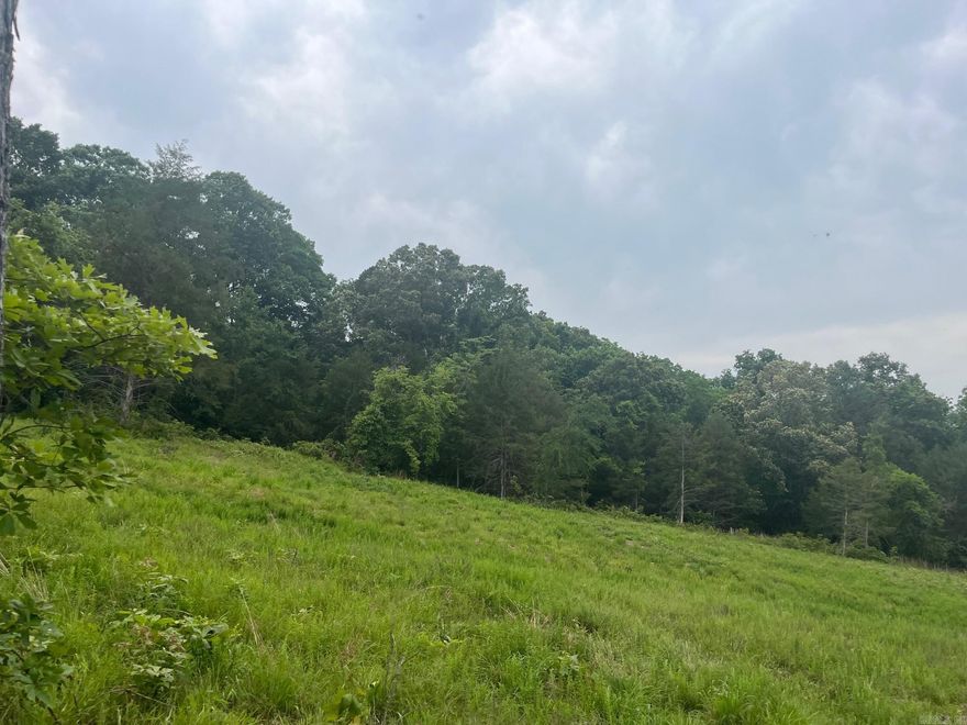 10 acres just off state highway 56.  End of the road with plenty of privacy.  has everything you need:  city water, Electricity, some wooded land, some pasture, nice creek.  15 minutes drive to White river and Trout fishing, 25 minutes to Lake Norfork.  Great Location, Great Property,  Owner will Finance!!!
