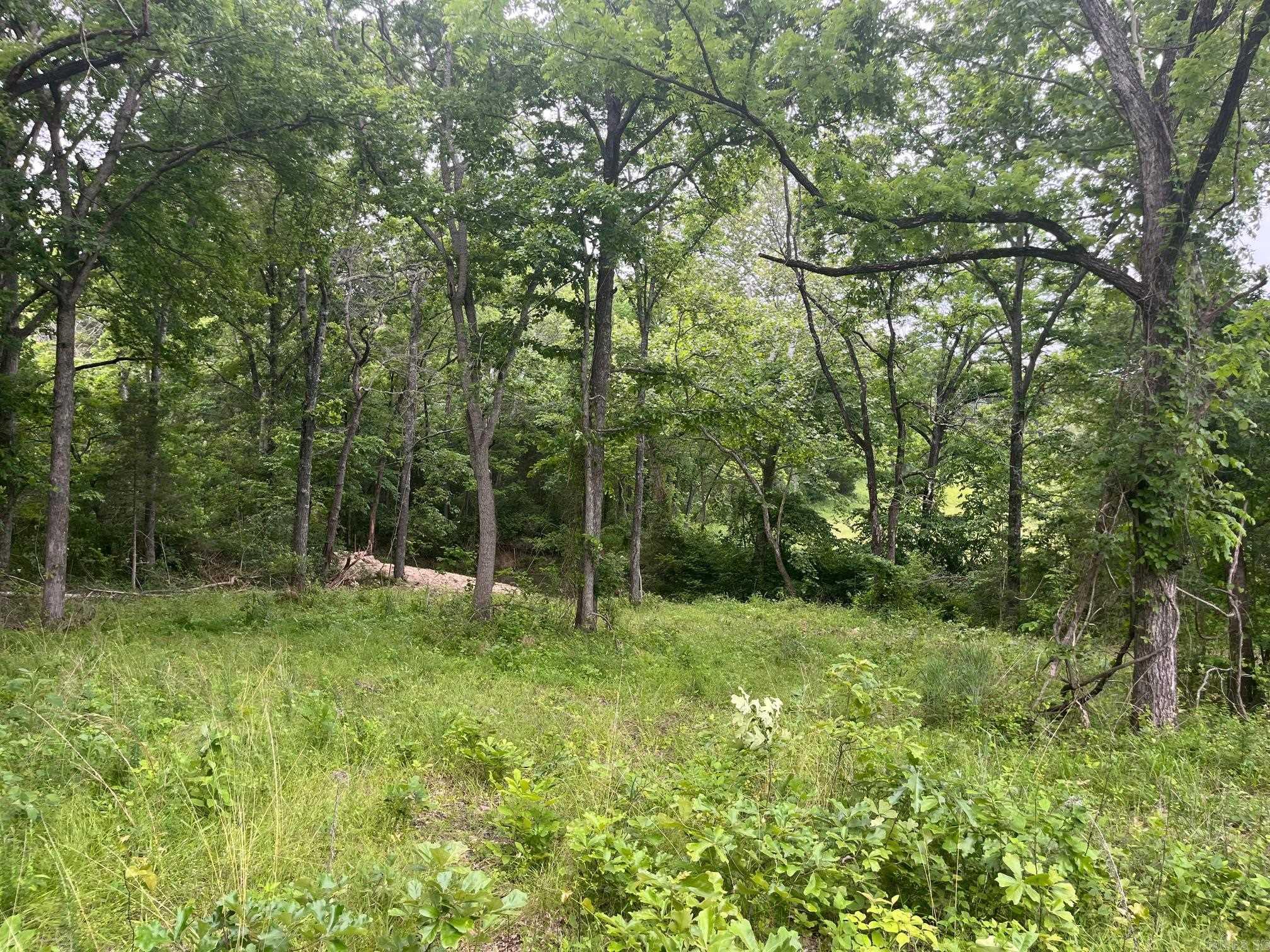 Metes & Bounds - Farm