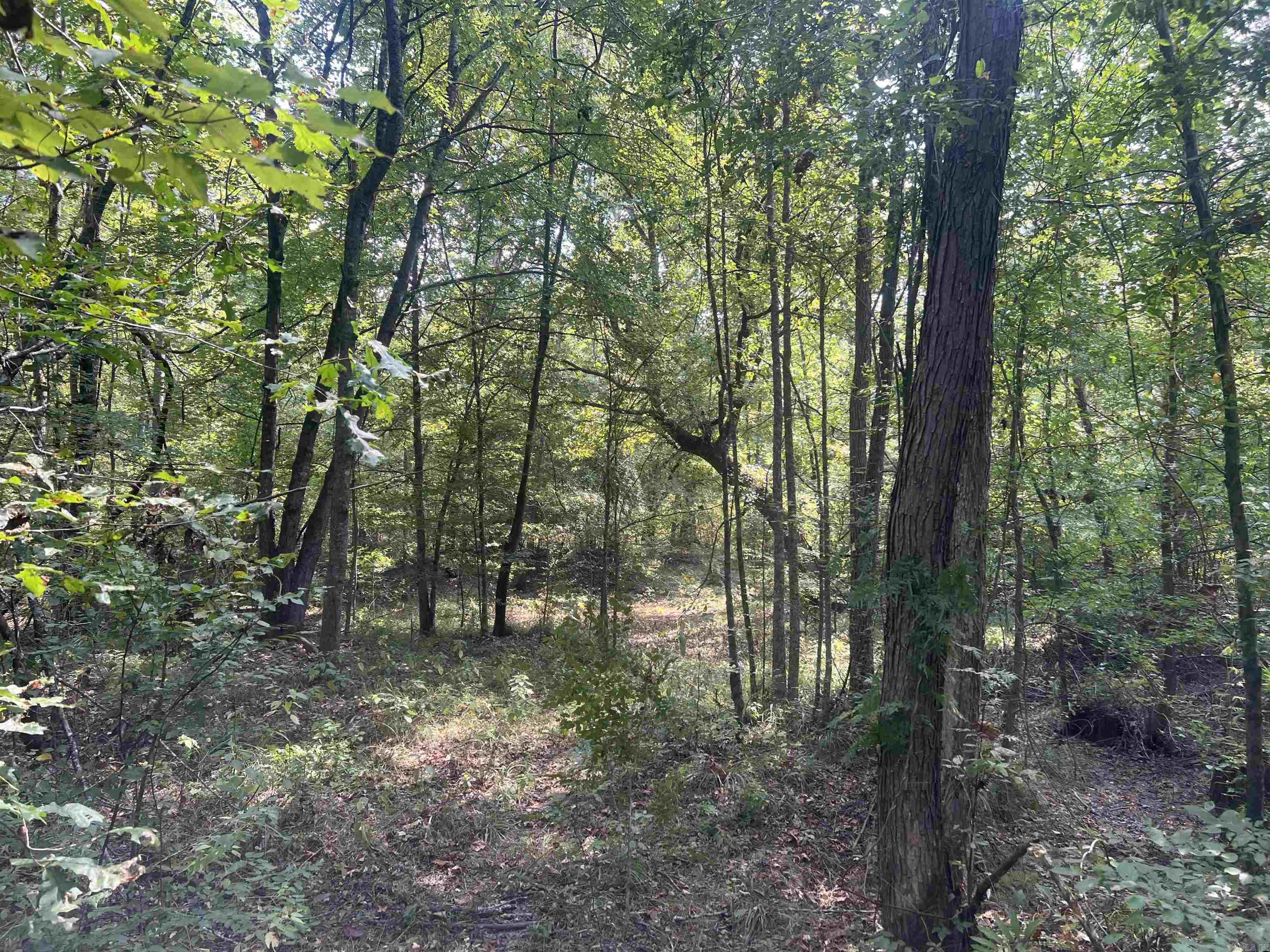 Not in Subdivision - Land