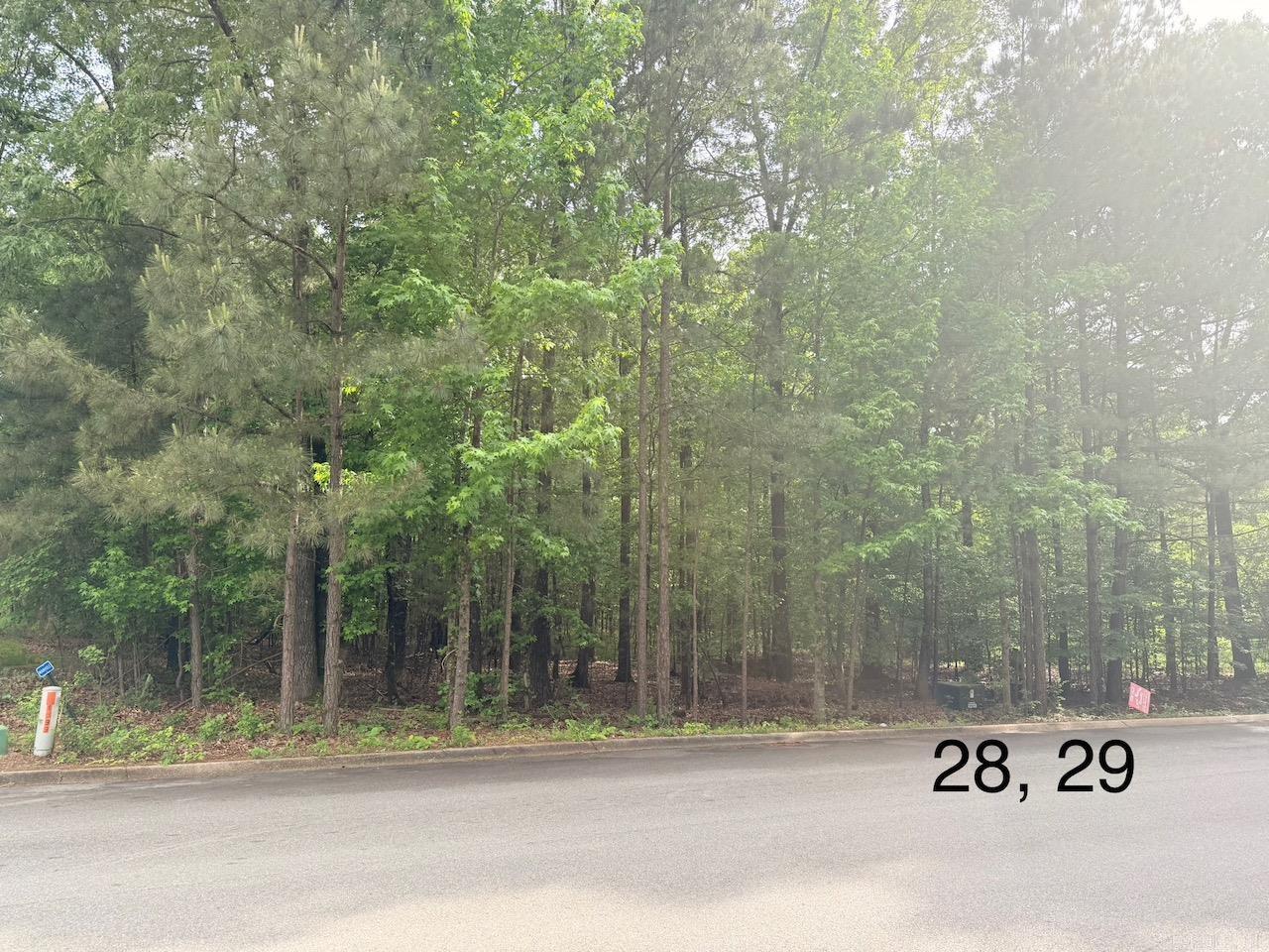 Discover the perfect spot to build your dream home in the desirable University Heights Subdivision! This .52-acre lot offers a serene setting in a quiet neighborhood, just minutes from the University of Arkansas at Monticello, local schools, hospitals, and shopping. With utilities readily available and a prime location, this lot is ideal for families, professionals, or investors. Priced to sell—don’t miss this opportunity to create your custom oasis in the heart of Monticello! Contact us today for details.