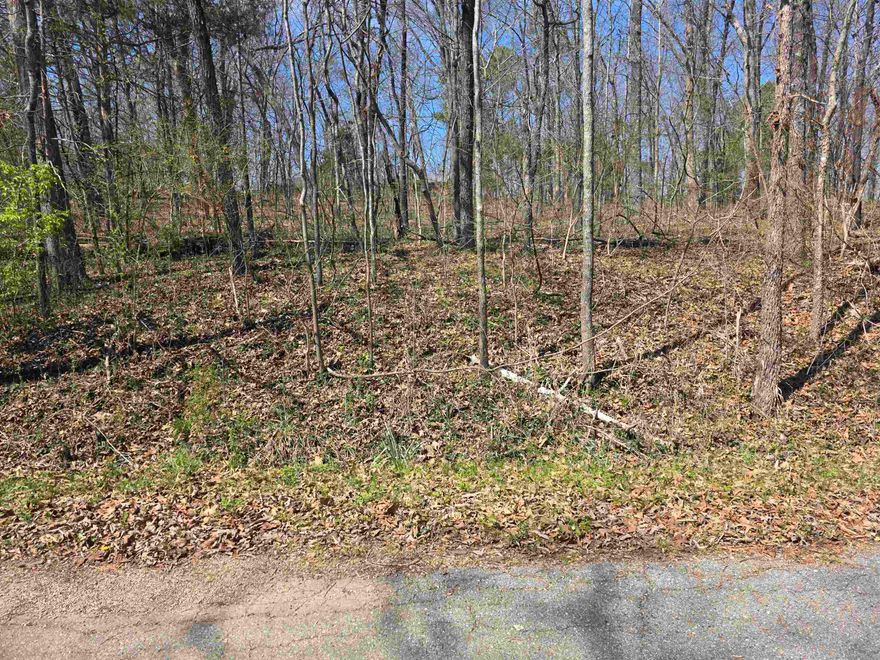 Nice lot with a gentle front to back upward slope. This lot sits up above the road. Lots of trees and lots of nature and wildlife. Come check this lot out, check out the view and see where you want to put your vacation home or your forever home. Retire here and fish 7 different lakes and golf 2 different 18-hole golf courses. Don't forget about the beautiful South Fork River that flows right through the Village. Shop in Old Hardy town and trout fish the Spring River. That's living the Cherokee Village lifestyle.