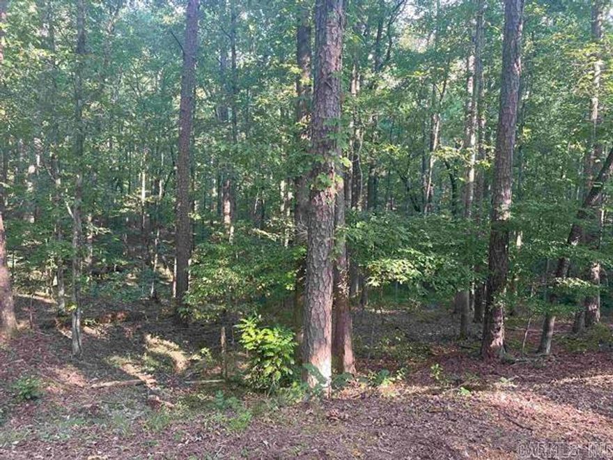 Great lot! Hunting, fishing, water activities, and much more
