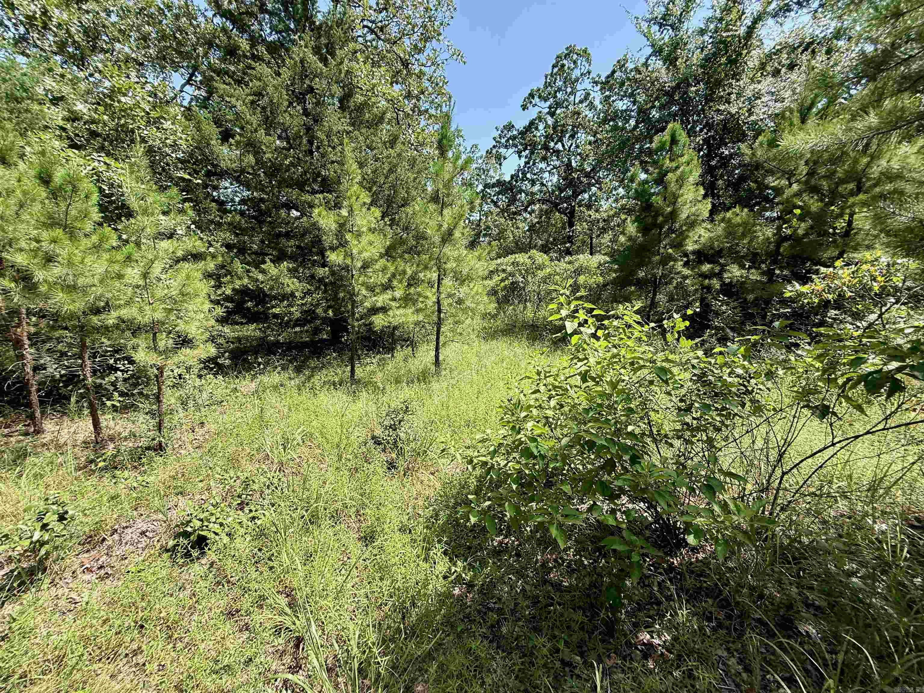 River Wood Estates - Land