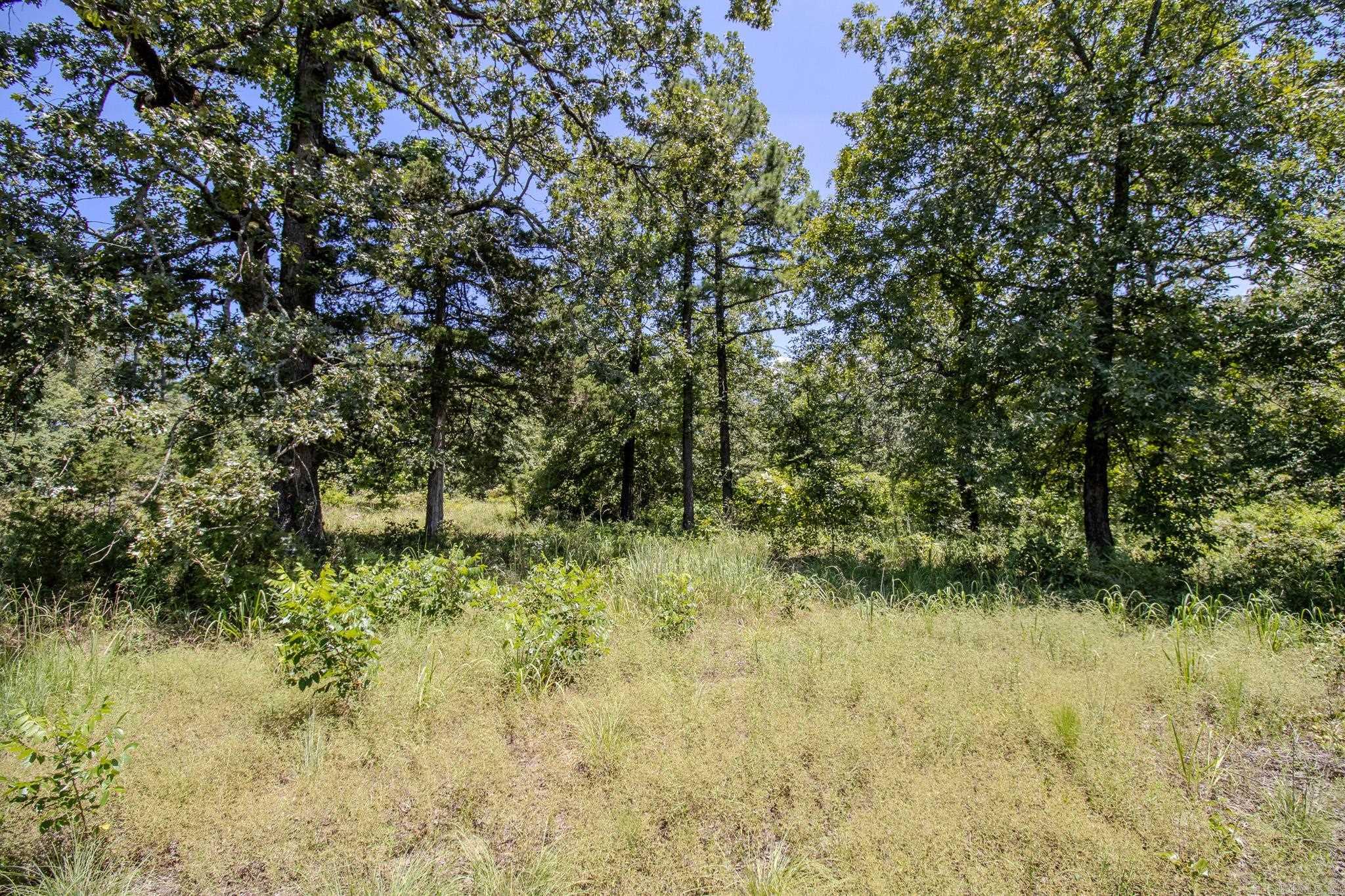 River Wood Estates - Land